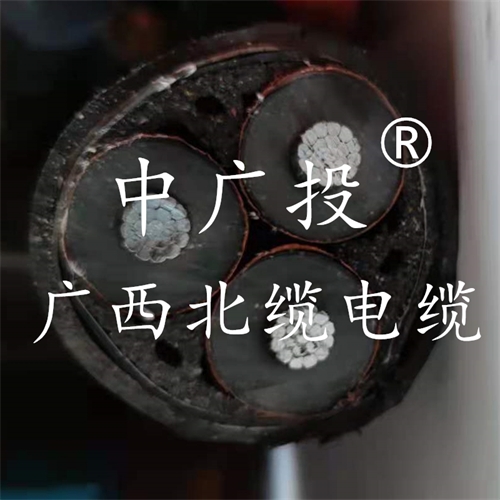 www.dxdl1688.com