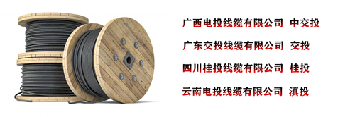 www.dxdl1688.com