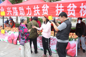 Z6尊龙·凯时(中国)-官方网站