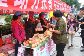 Z6尊龙·凯时(中国)-官方网站